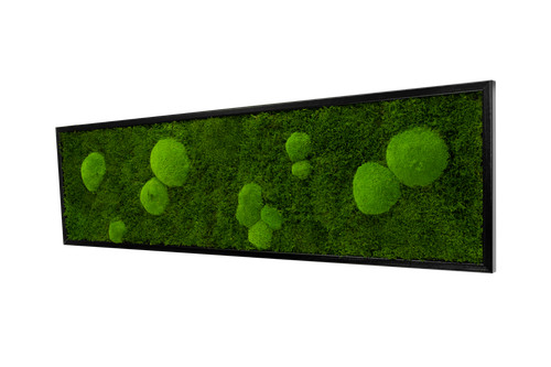 Wandbilder forest design - forest,