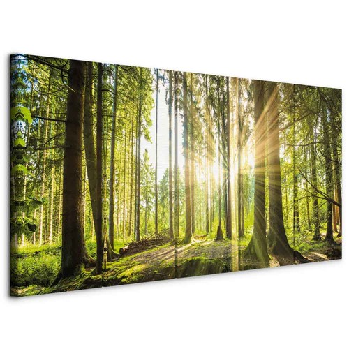 Wald vlies leinwandbild tlg - wald, 5