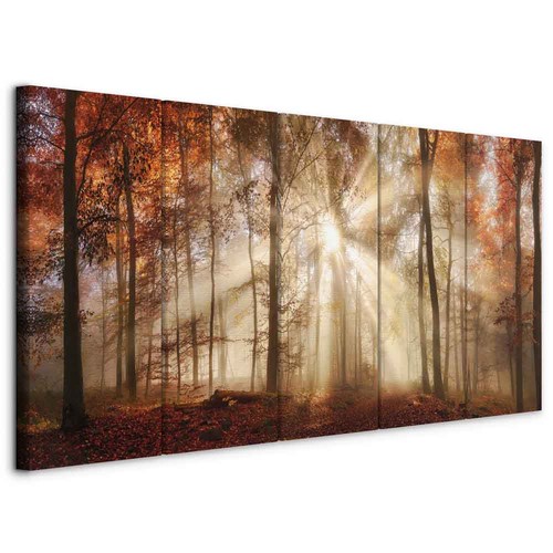 Wald landschaft natur - landschaft,