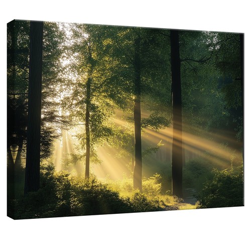 Leinwand bilder wald - bilder, natur