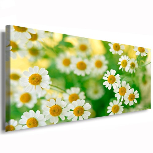 Leinwandbild blumen wandbild - leinwandbild,