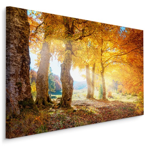 Canvas leinwand bilder - canvas, xxl