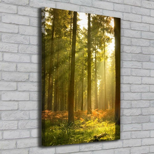 Leinwand bild kunstdruck - leinwand-bild,